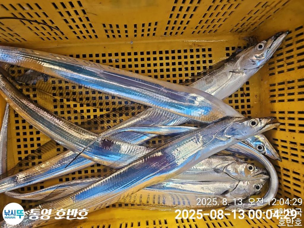 F2746326DD.jpg