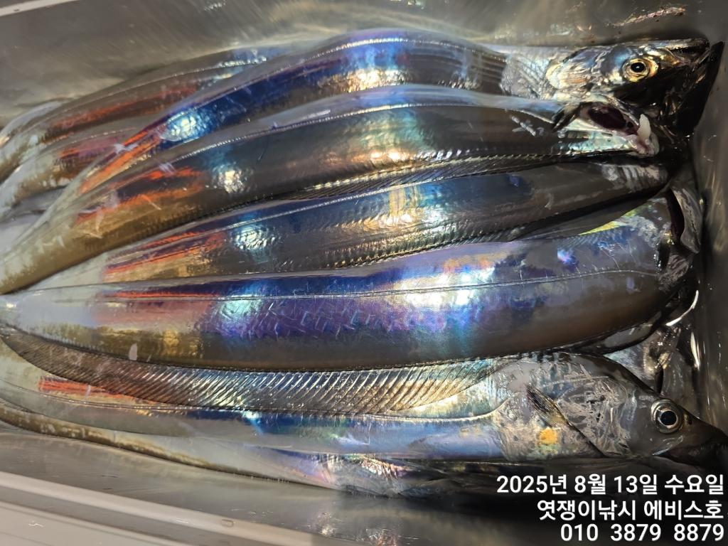 F27463839T.jpg