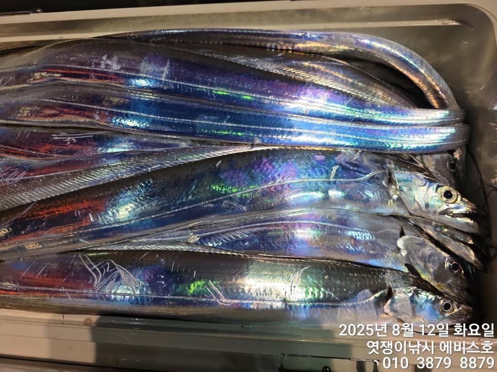 F2746408ZF.jpg