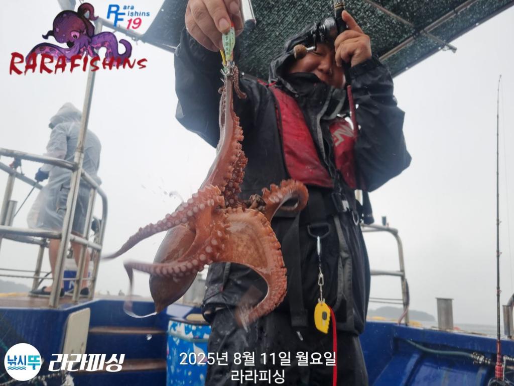 낚시뚜,돌문어,속천항(진해),라라피싱,낚시뚜10