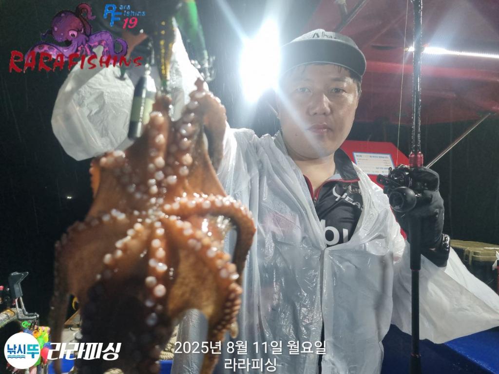 낚시뚜,돌문어,속천항(진해),라라피싱,낚시뚜6