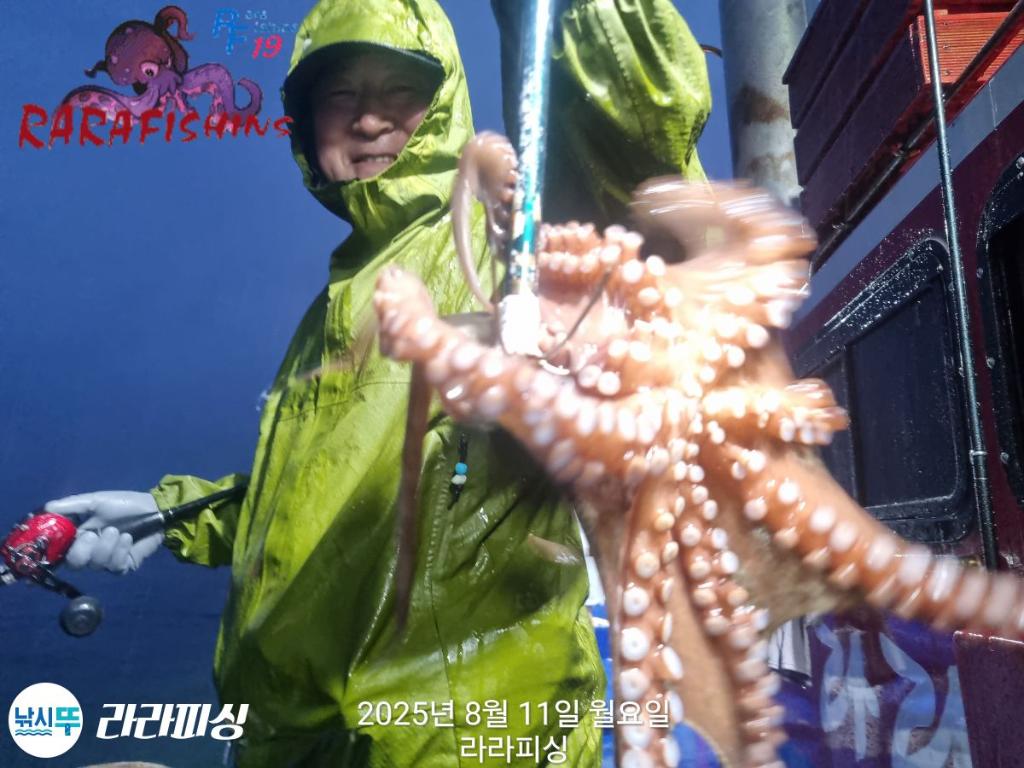 낚시뚜,돌문어,속천항(진해),라라피싱,낚시뚜5