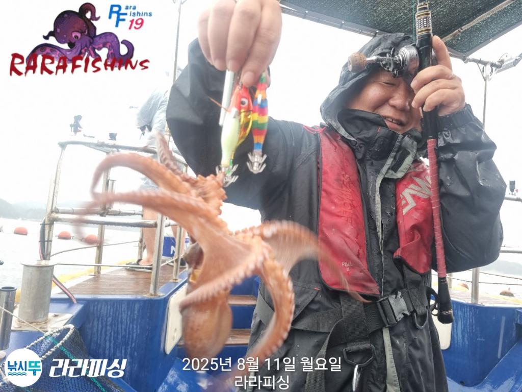 낚시뚜,돌문어,속천항(진해),라라피싱,낚시뚜3
