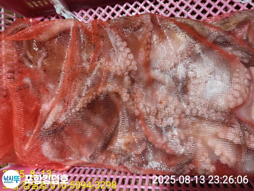 F2746916Q8.jpg