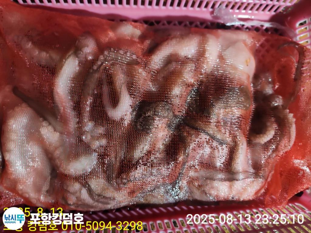 F2746917CX.jpg
