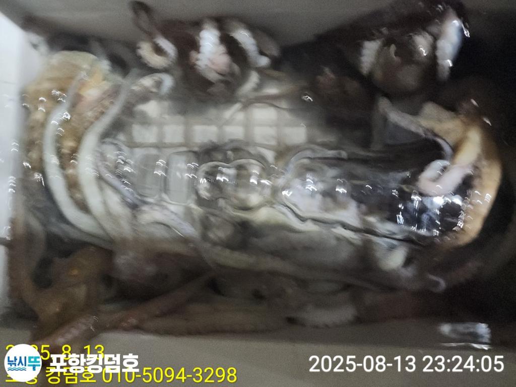 F2746918MW.jpg