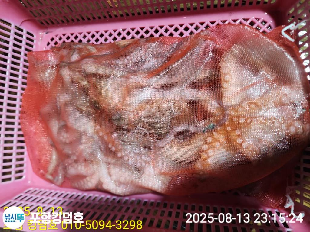 F2746925B4.jpg