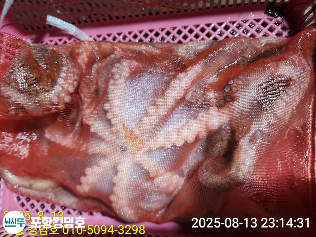 F27469260I.jpg