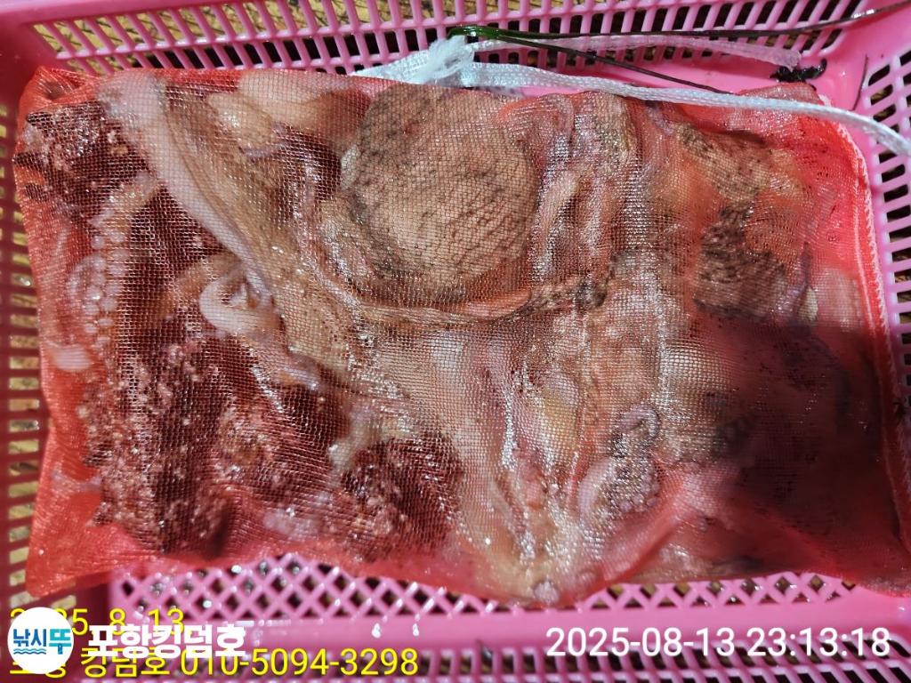F274692714.jpg