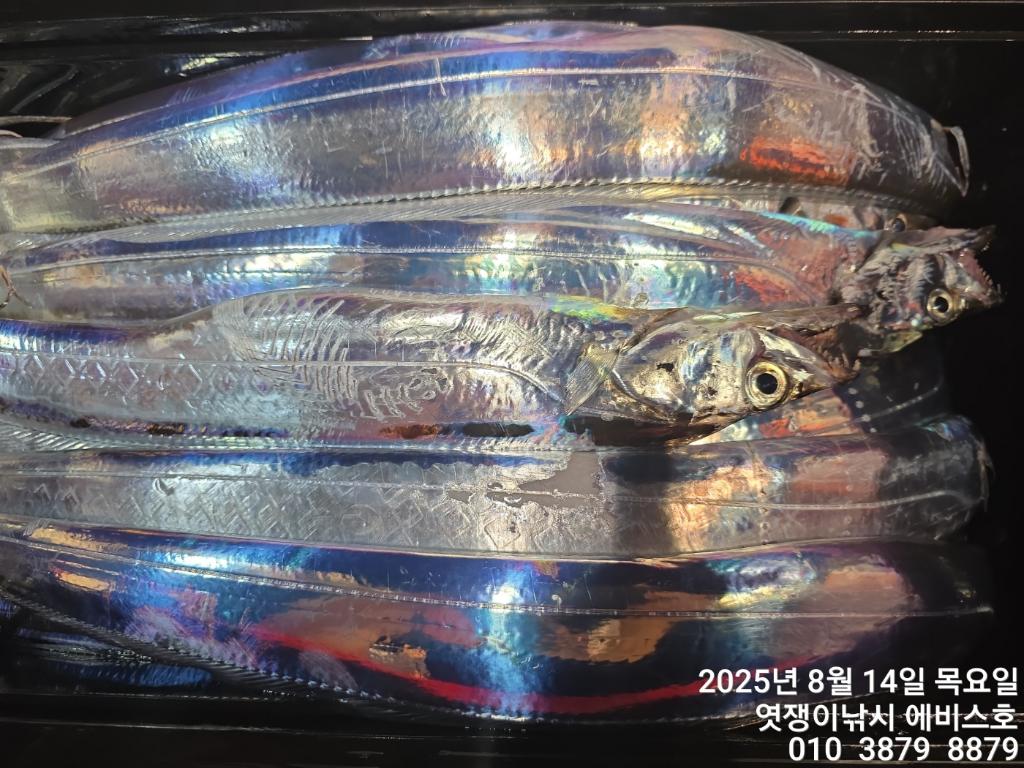 F2747020LM.jpg