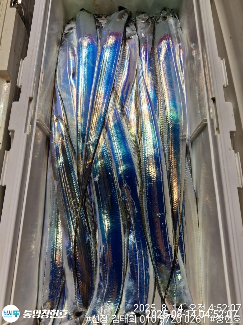 F274707329.jpg