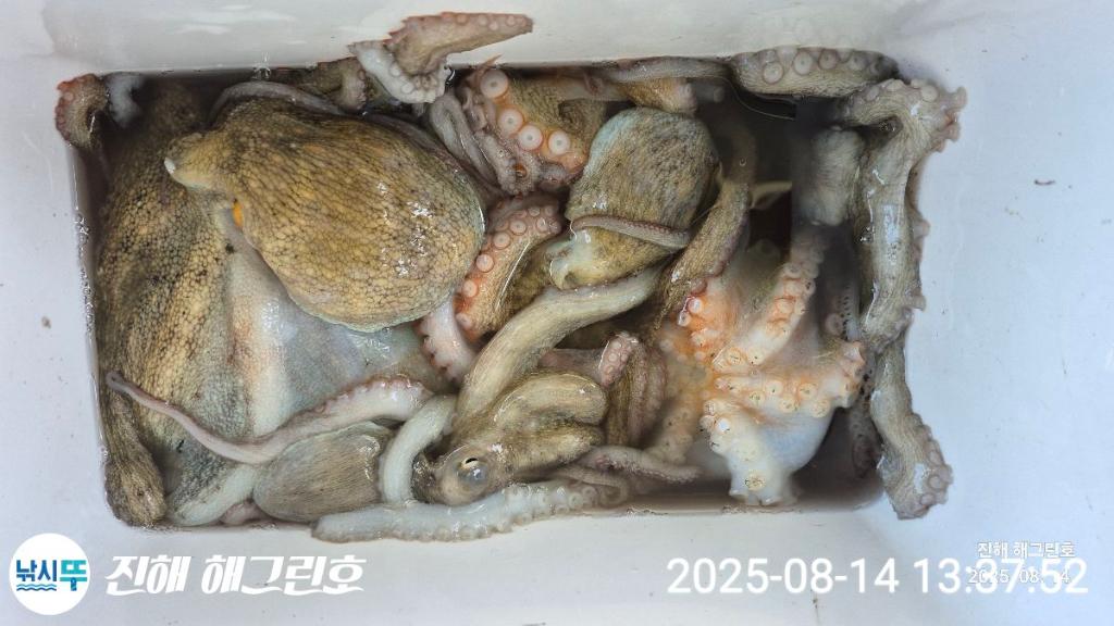 F2747366GV.jpg