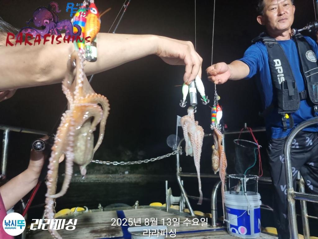 낚시뚜,돌문어,속천항(진해),라라피싱,낚시뚜18