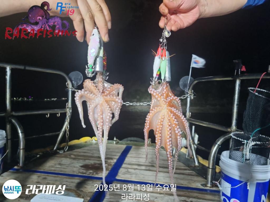 낚시뚜,돌문어,속천항(진해),라라피싱,낚시뚜17
