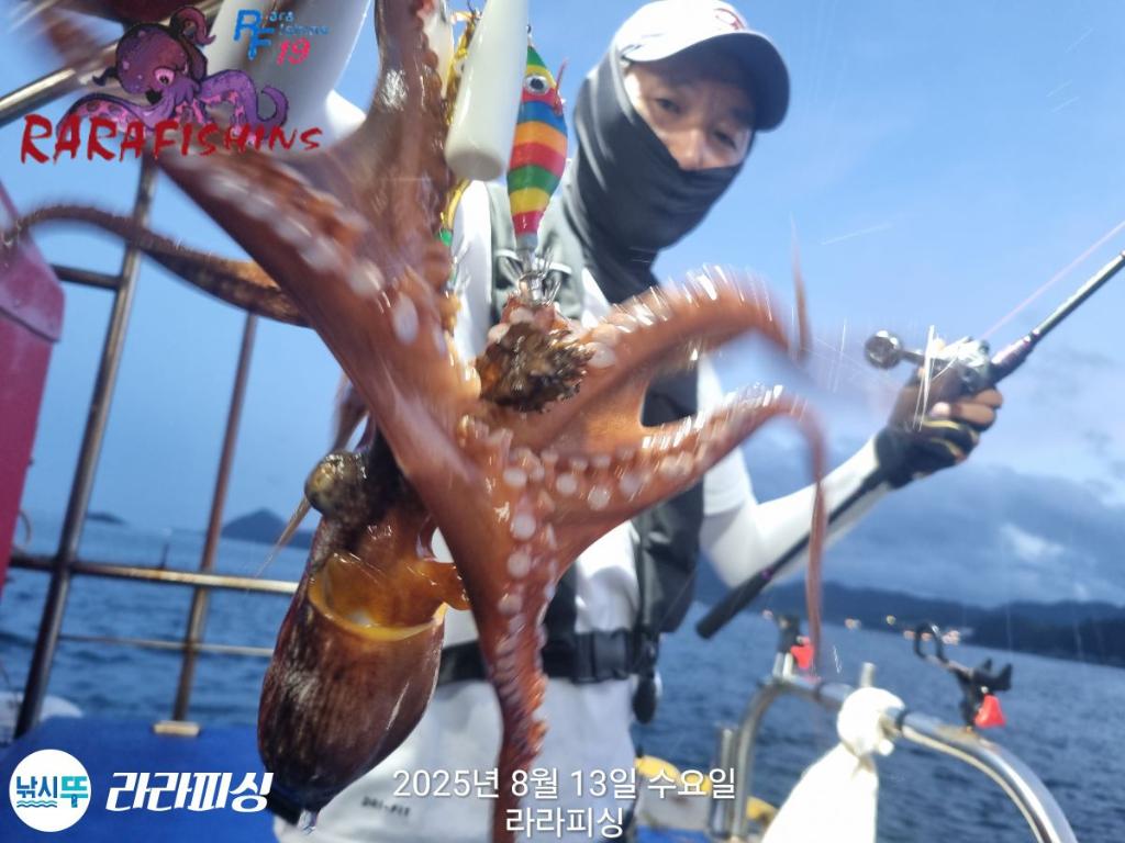 낚시뚜,돌문어,속천항(진해),라라피싱,낚시뚜14