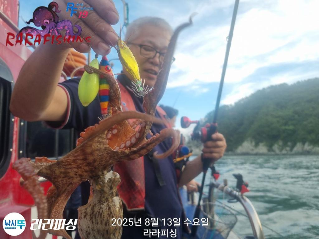 낚시뚜,돌문어,속천항(진해),라라피싱,낚시뚜6