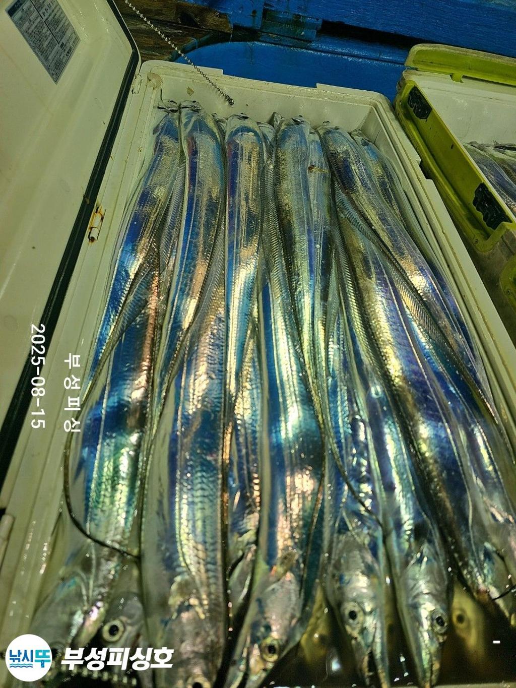 F27479455X.jpg