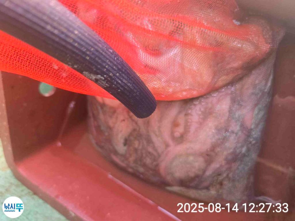 F2748003CW.jpg