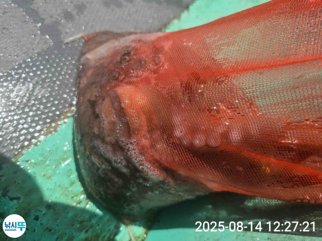 F27480041D.jpg