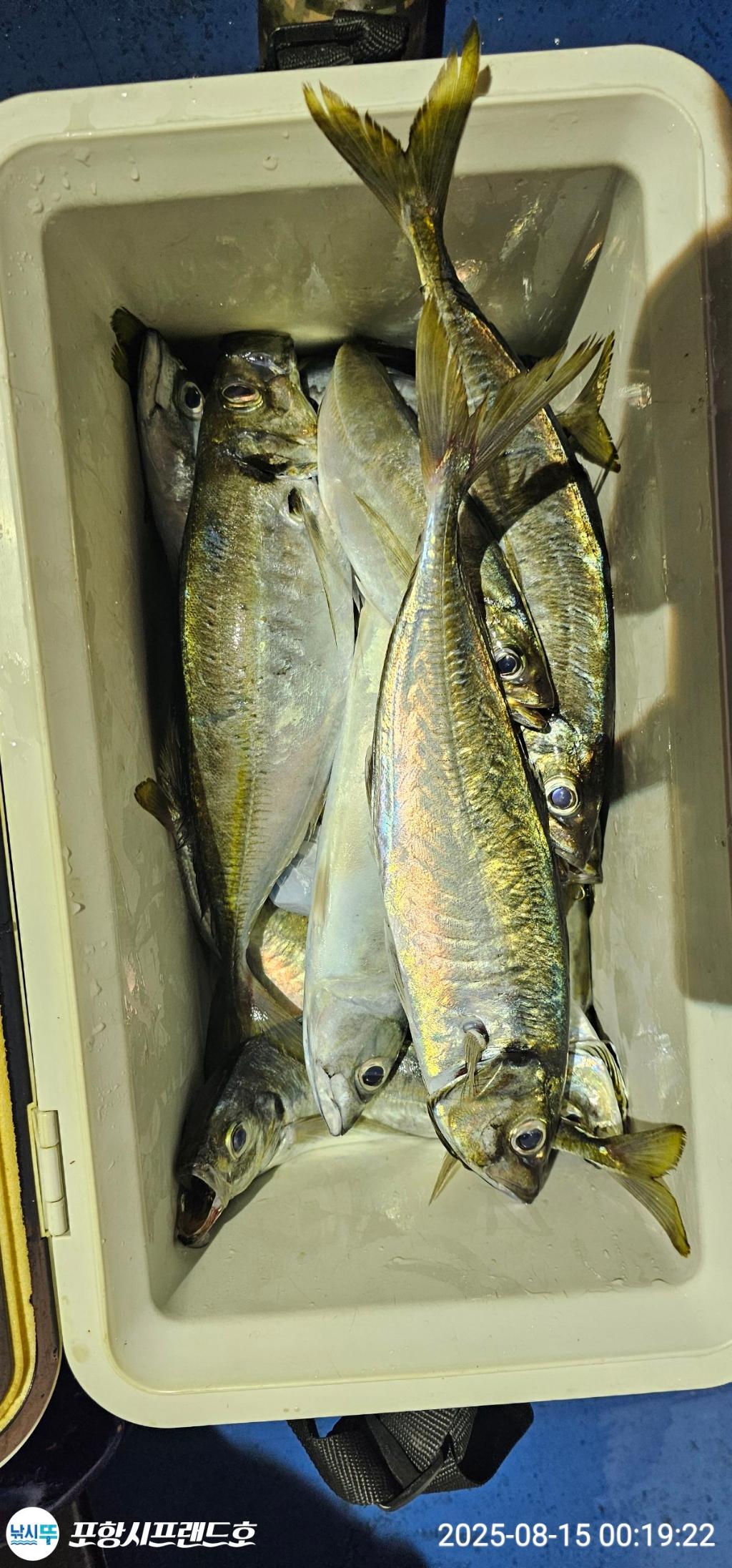 F2748042P7.jpg