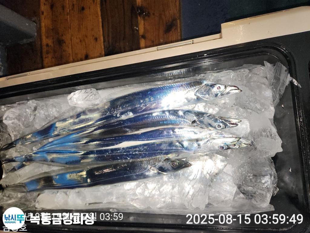 F27480997T.jpg
