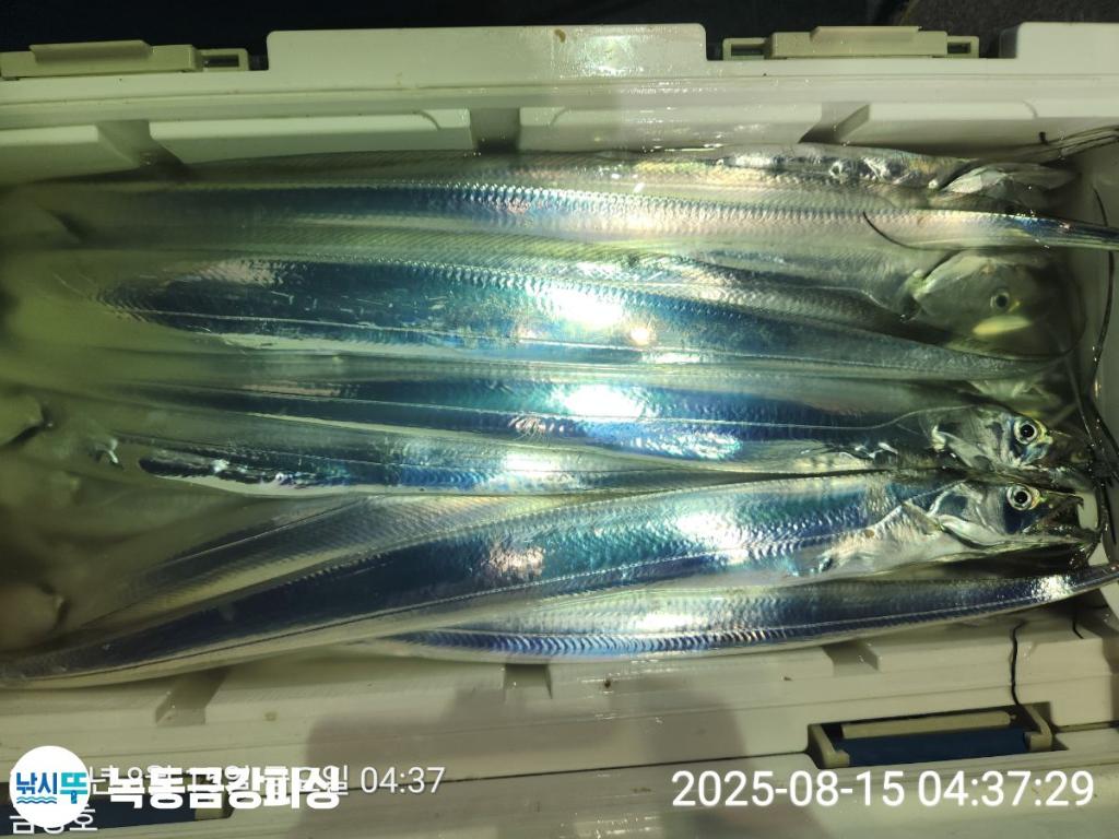 F2748106JT.jpg