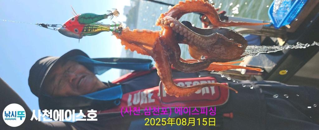 낚시뚜,돌문어,삼천포 팔포항,사천에이스호,낚시뚜3