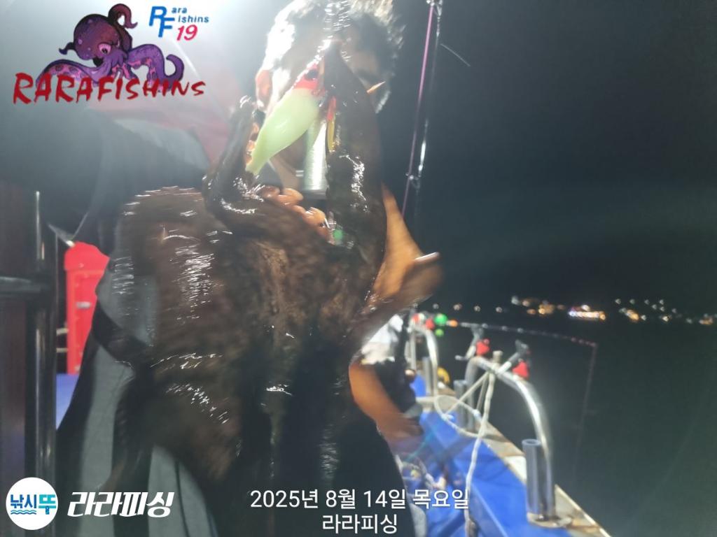 낚시뚜,돌문어,속천항(진해),라라피싱,낚시뚜7