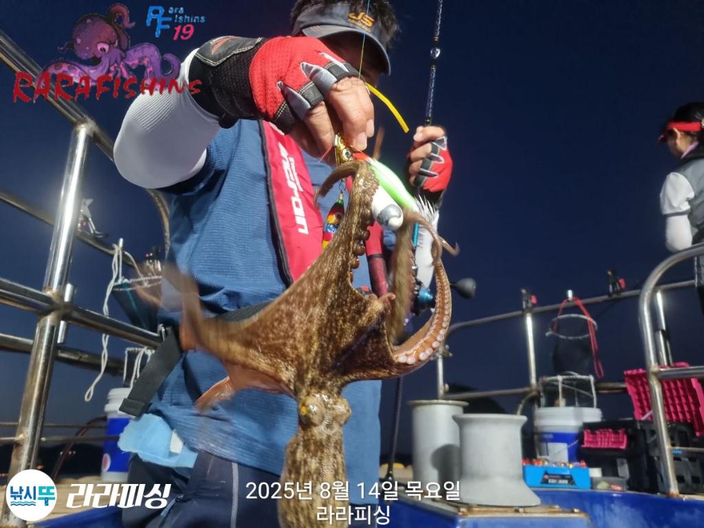 낚시뚜,돌문어,속천항(진해),라라피싱,낚시뚜5