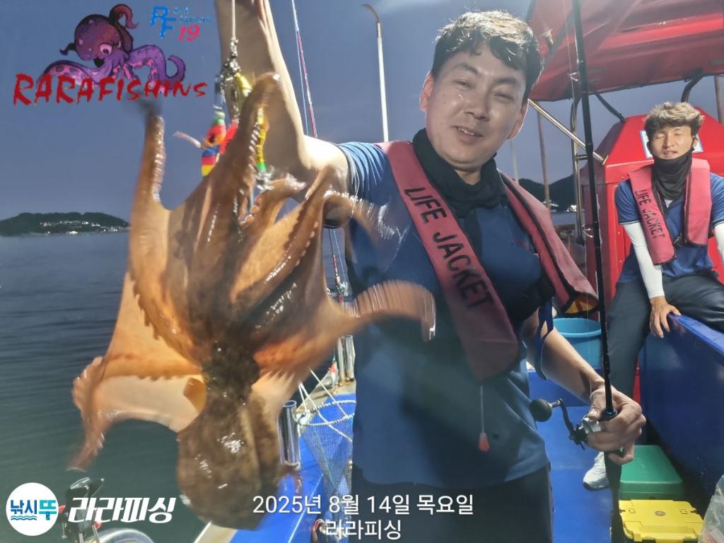 낚시뚜,돌문어,속천항(진해),라라피싱,낚시뚜4