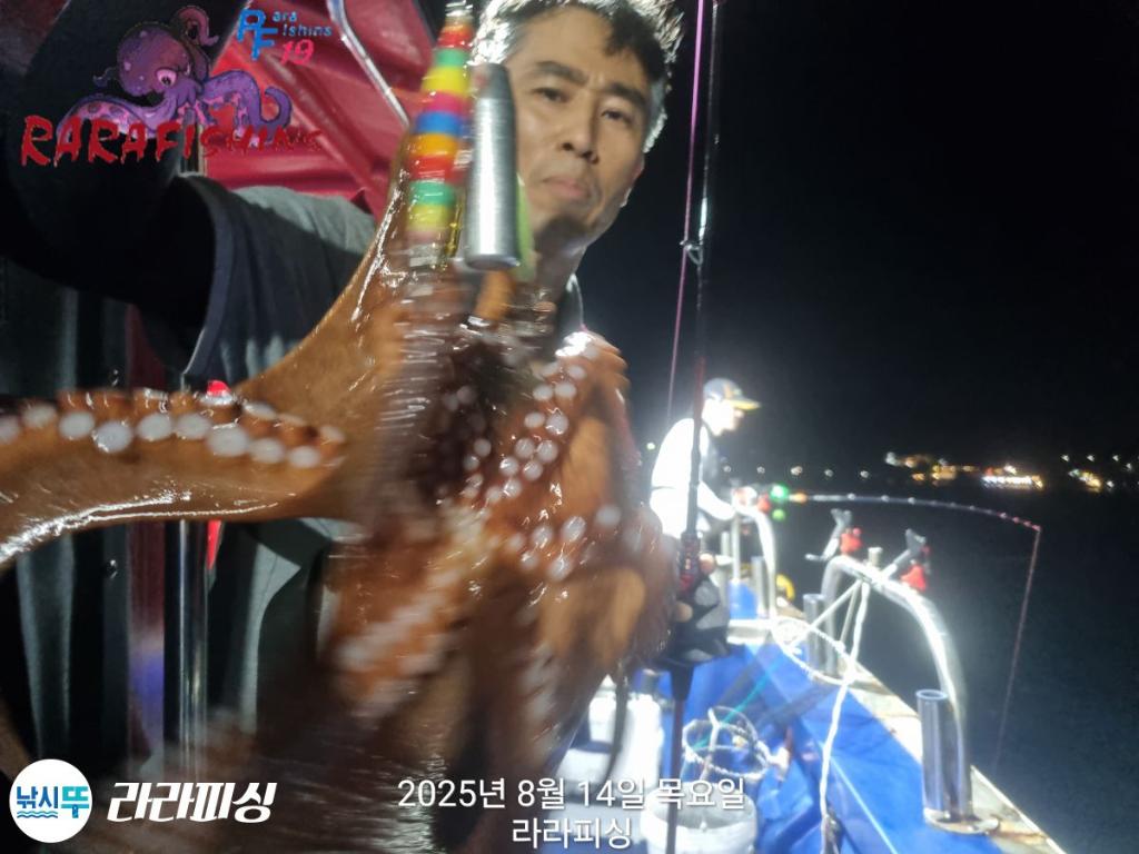 낚시뚜,돌문어,속천항(진해),라라피싱,낚시뚜3