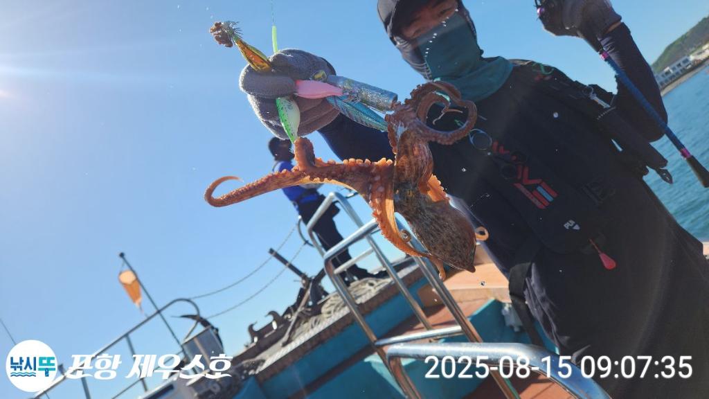 F27484618T.jpg