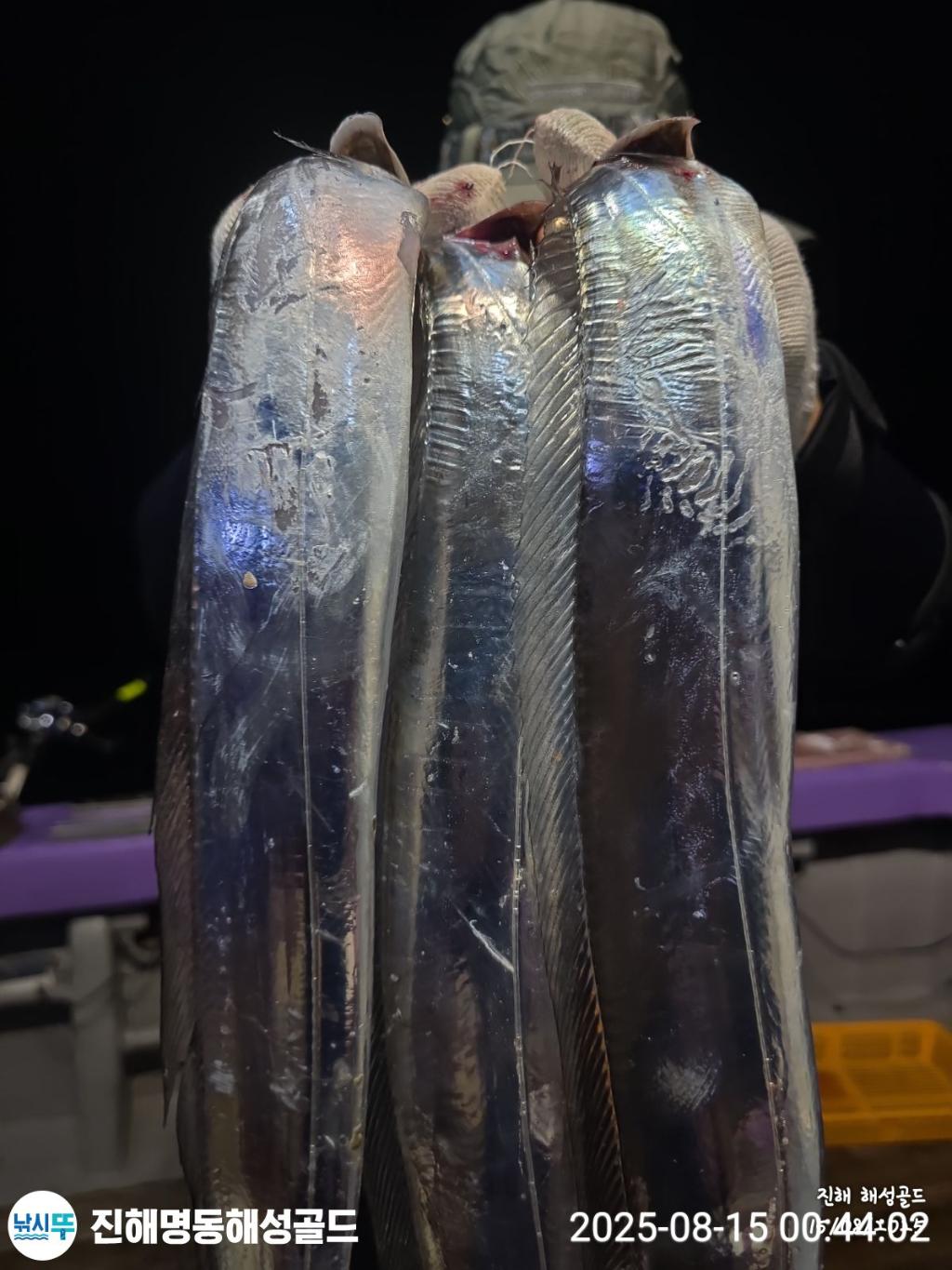 F27485520W.jpg