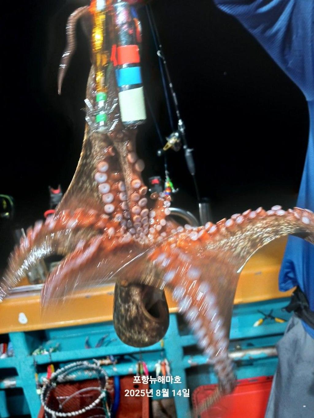 F2748584JJ.jpg