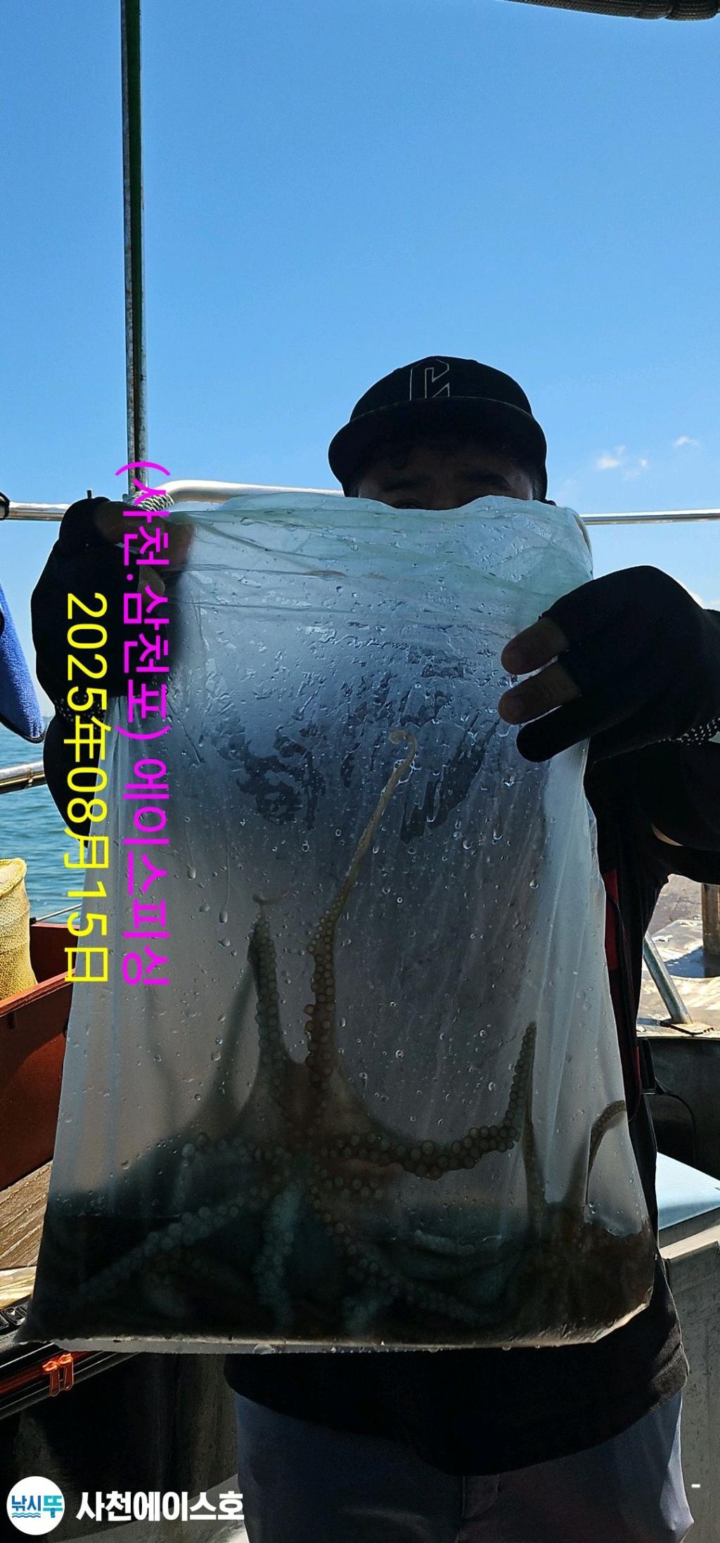낚시뚜,돌문어,삼천포 팔포항,사천에이스호,낚시뚜6