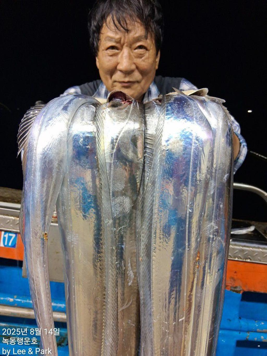 낚시뚜,갈치,녹동항,녹동대성호,낚시뚜29