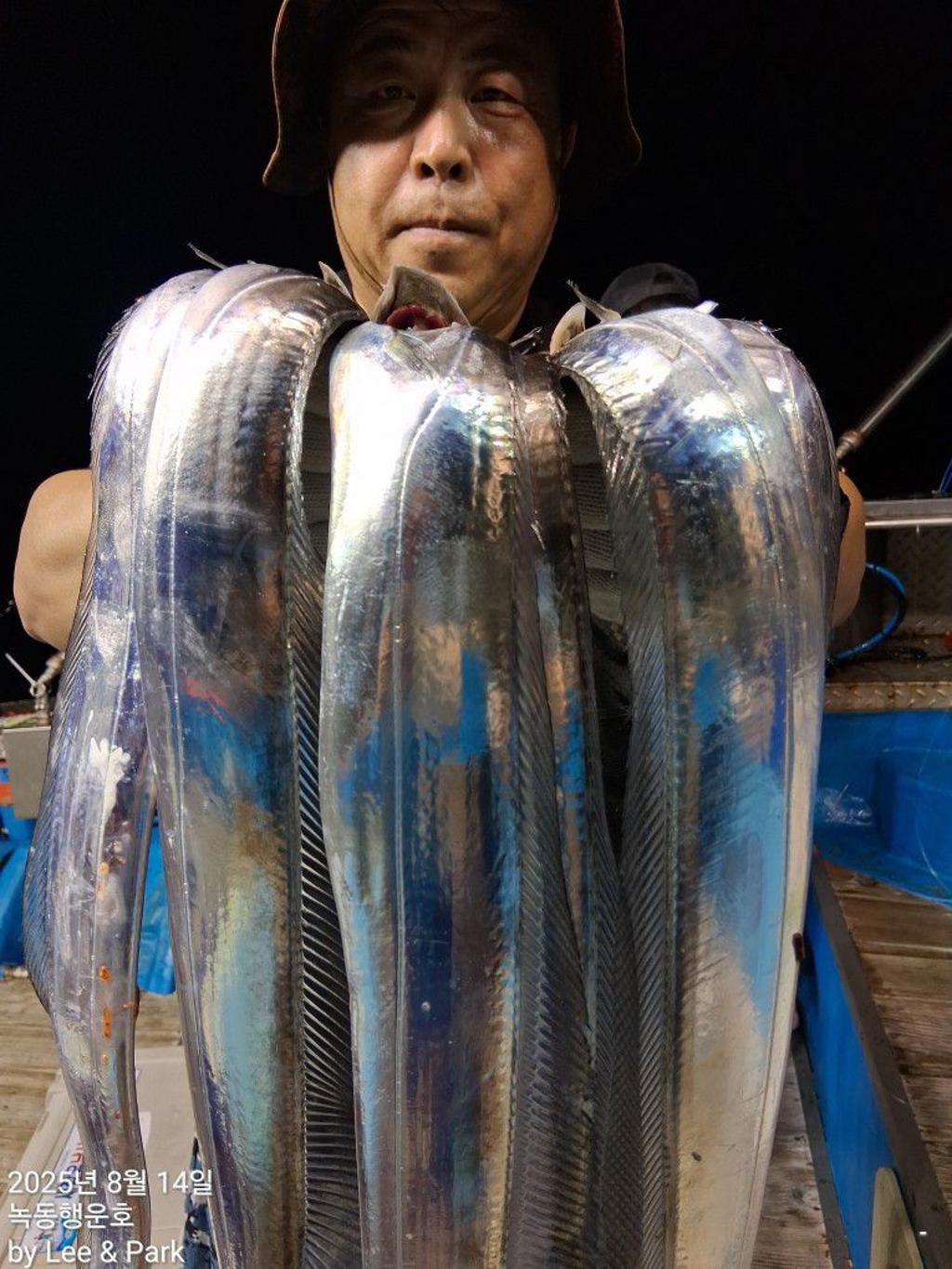 낚시뚜,갈치,녹동항,녹동대성호,낚시뚜28