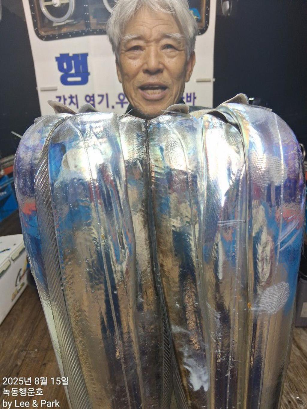 낚시뚜,갈치,녹동항,녹동대성호,낚시뚜26