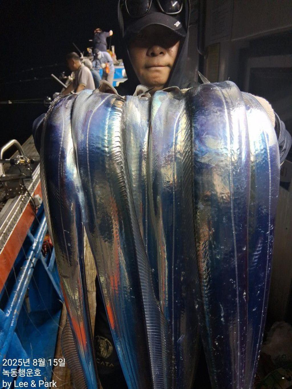 낚시뚜,갈치,녹동항,녹동대성호,낚시뚜25