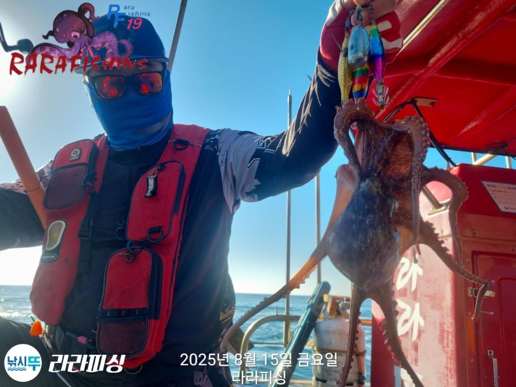 낚시뚜,돌문어,속천항(진해),라라피싱,낚시뚜10