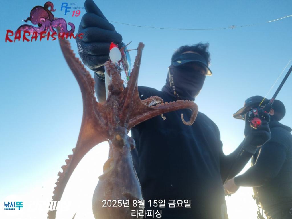 낚시뚜,돌문어,속천항(진해),라라피싱,낚시뚜9
