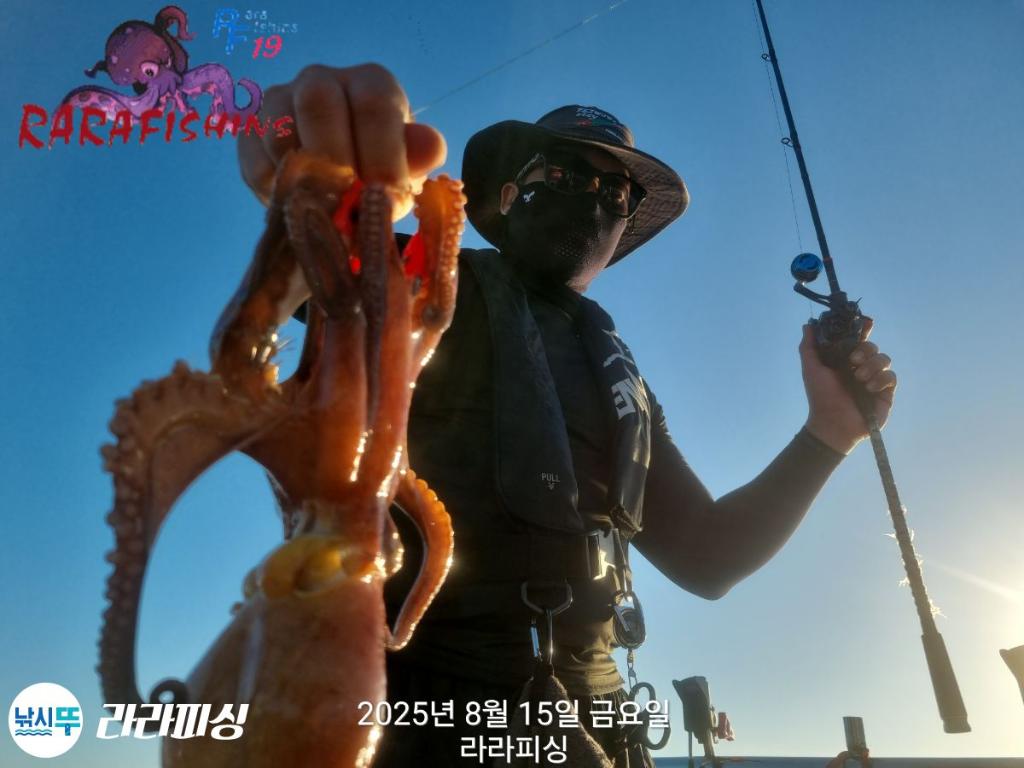 낚시뚜,돌문어,속천항(진해),라라피싱,낚시뚜4
