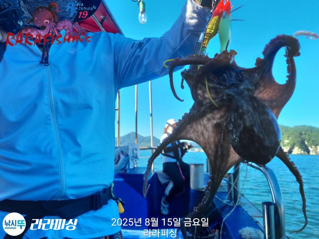 낚시뚜,돌문어,속천항(진해),라라피싱,낚시뚜6