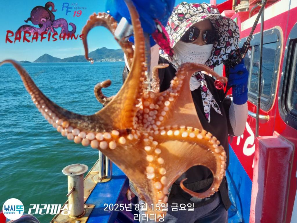 낚시뚜,돌문어,속천항(진해),라라피싱,낚시뚜3