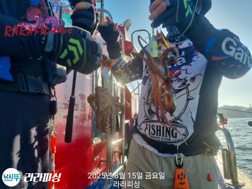 낚시뚜,돌문어,속천항(진해),라라피싱,낚시뚜7