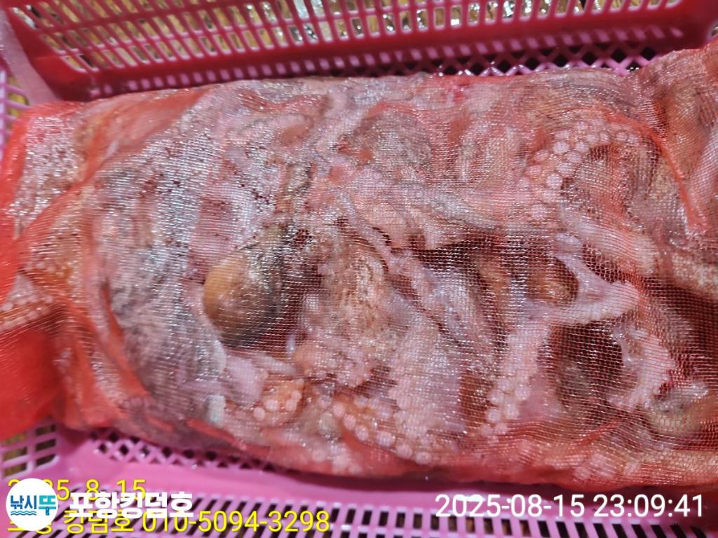F2748982MY.jpg