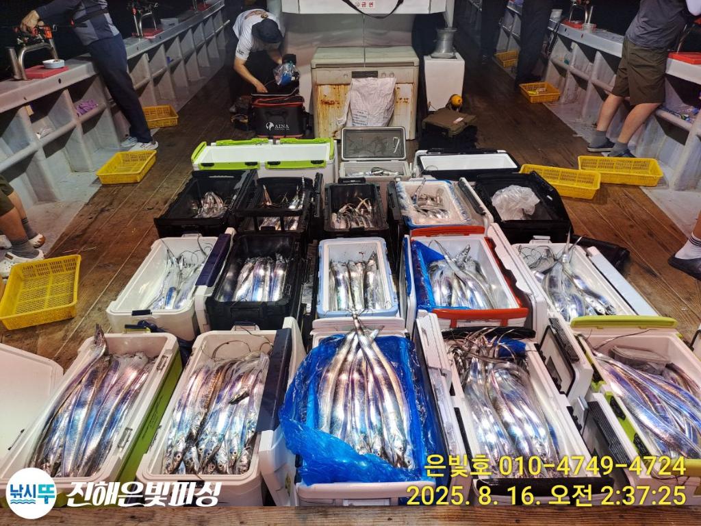 낚시뚜,갈치,진해수도항,진해은빛피싱,낚시뚜21