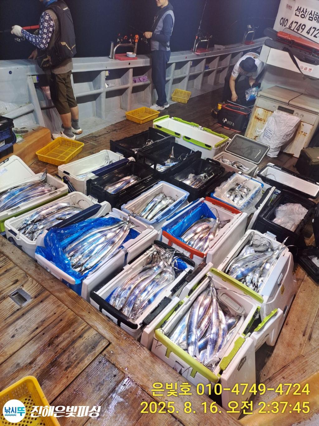 낚시뚜,갈치,진해수도항,진해은빛피싱,낚시뚜20