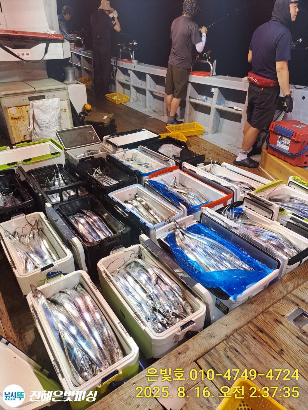 낚시뚜,갈치,진해수도항,진해은빛피싱,낚시뚜19
