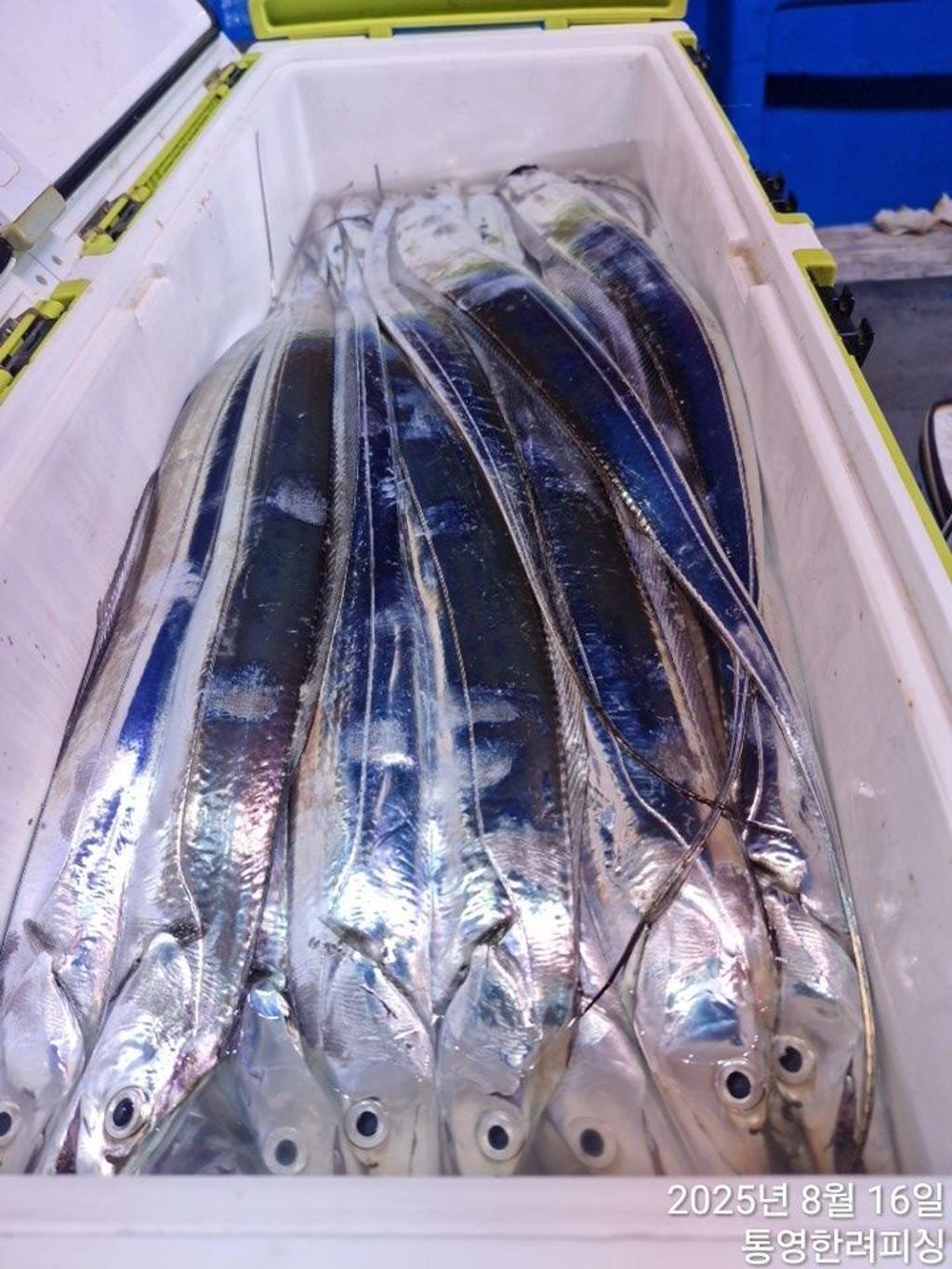 F27491404J.jpg